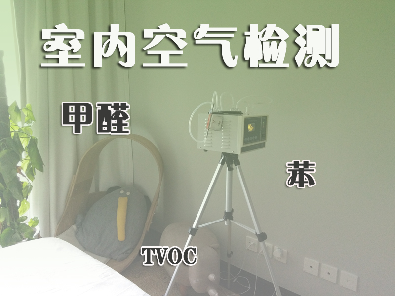 甲醛的麻豆影视下载